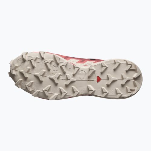 Moteriški bėgimo bateliai Salomon Speedcross 6 GTX black/cow hide/faded rose