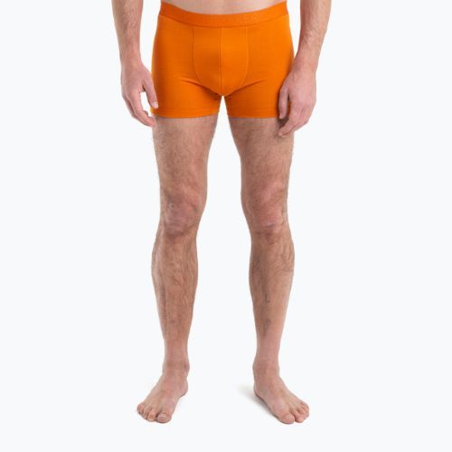 Vyriški terminiai boksininko šortai "Icebreaker" Anatomica Cool-Lite Earth