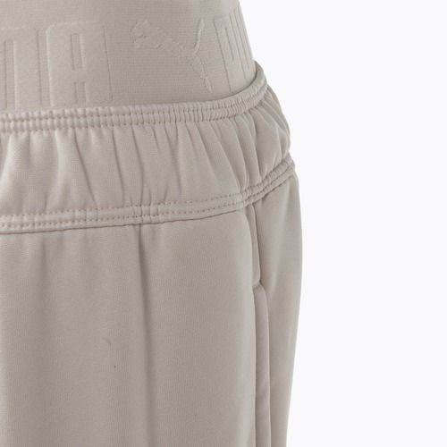 Moteriškos treniruočių kelnės PUMA Strong Power Fleece Jogger alpine snow