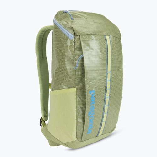 Patagonia turistinė kuprinė Black Hole Pack 25 l friend green