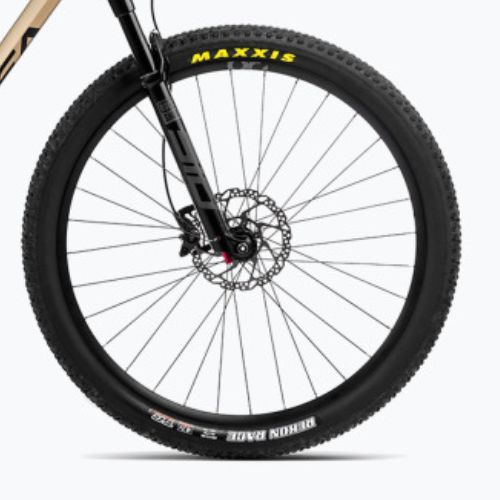 Orbea Alma M30 2023 kalnų dviratis baobabo rudos/žalios aukso spalvos