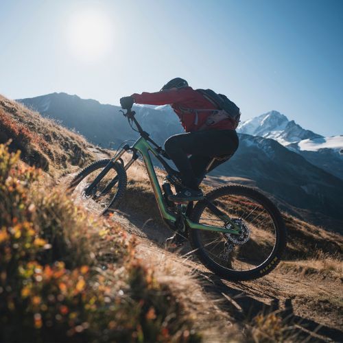 Elektrinis dviratis Orbea Rise M10 42V 360Wh 2023 chameleon goblin green/black