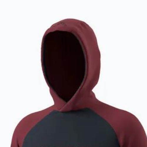 Vyriška striukė DYNAFIT 24/7 PTC Hoody burgundy