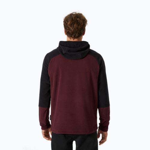 Vyriški Helly Hansen Daybreaker Logo Hoodie hickory trekking džemperiai