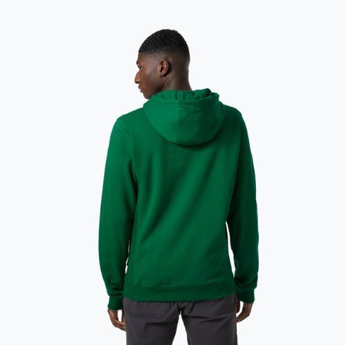 Vyriškas džemperis Helly Hansen F2F Organic Cotton Hoodie malachite