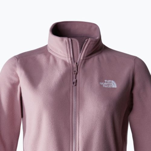 Moteriškas vilnonis džemperis The North Face 100 Glacier Fz fawn grey