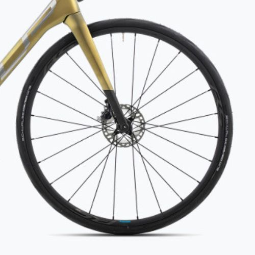 Superior X-ROAD Team Issue SE matinis alyvuogių/metalinis chromas kelių dviratis
