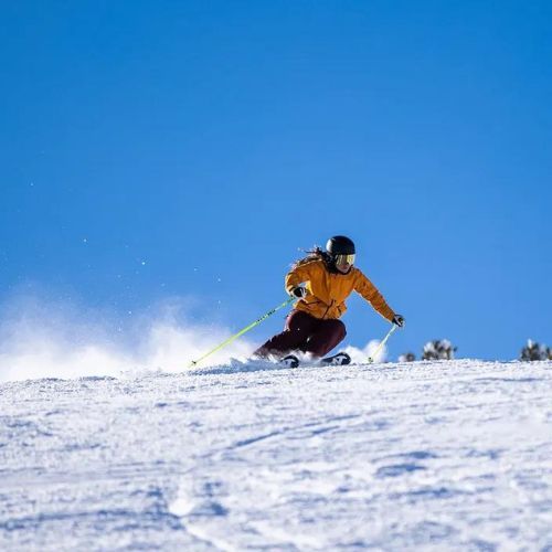 Moteriški slidinėjimo batai Nordica Pro Machine 85 W GW black/white/green