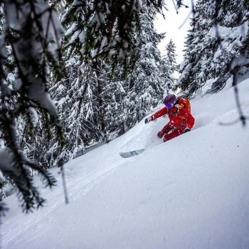 Moteriški slidinėjimo batai Nordica Speedmachine 3 85 W GW black/anthracite/white