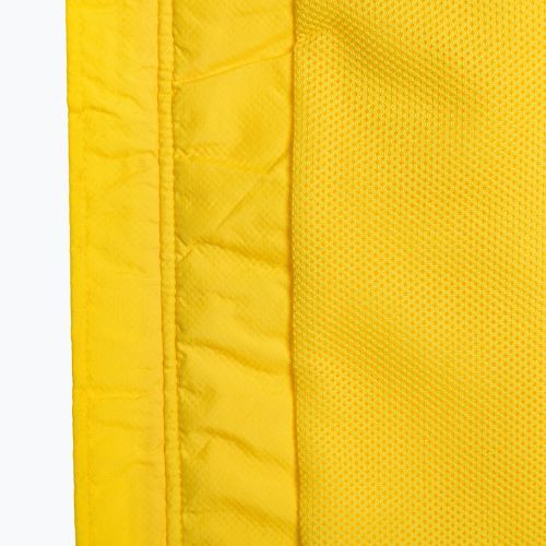 Vyriška futbolo striukė Nike Park 20 Rain Jacket tour yellow/black/black