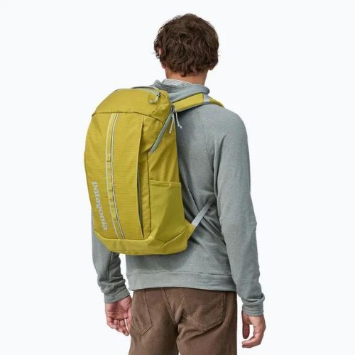 Turistinė kuprinė Patagonia Black Hole Pack 25 l shrub green