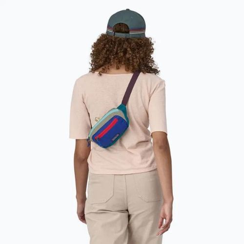 Rankinė ant juosmens Patagonia Ultralight Black Hole Mini Hip Pack 1 l patchwork/belay blue
