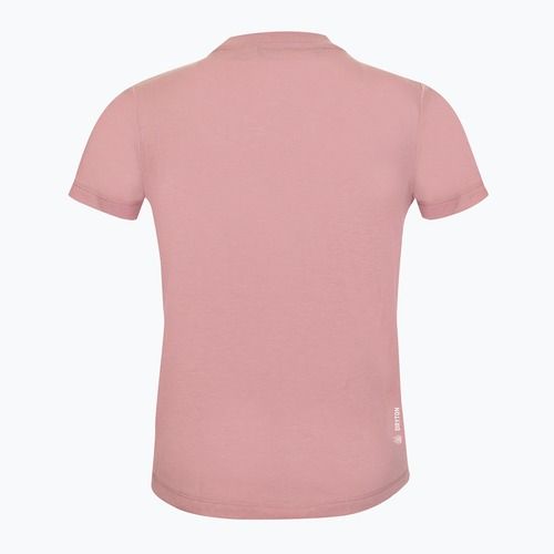 Vaikiški žygių marškinėliai Salewa Graphic Dry zephyr