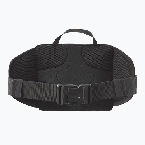 Rankinė ant juosmens Salomon Trailblazer 4 l black/alloy