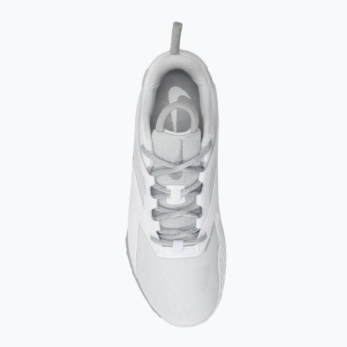 Tinklinio batai Nike Zoom Hyperace 3 photon dust/mtlc silver-white