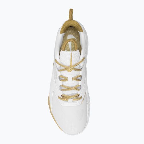 Tinklinio batai Nike Zoom Hyperace 3 white/mtlc gold-photon dust