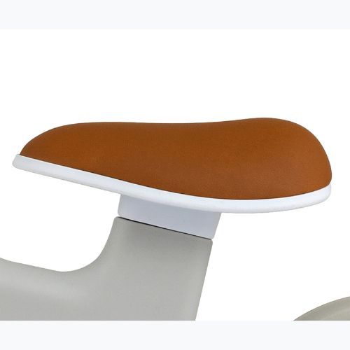 Balansinis dviratukas Milly Mally Velo