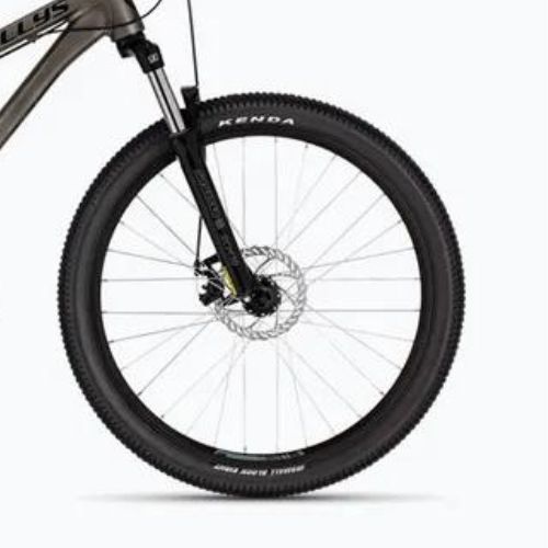 Kalnų dviratis Kellys Whip 10 raw