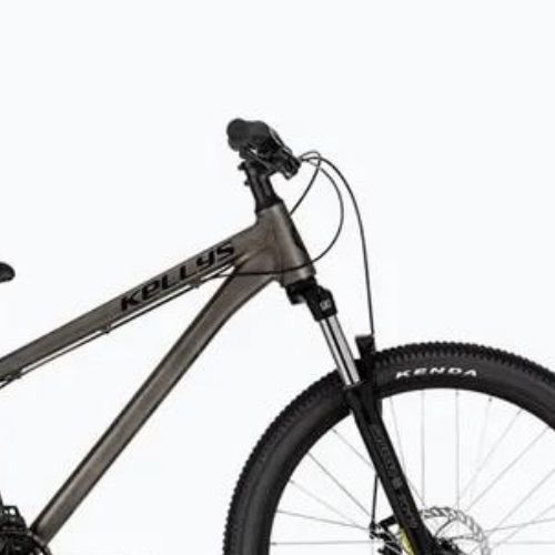 Kalnų dviratis Kellys Whip 10 raw