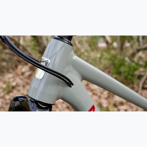 Kalnų dviratis Marin Rift Zone 2 29 gloss grey/red