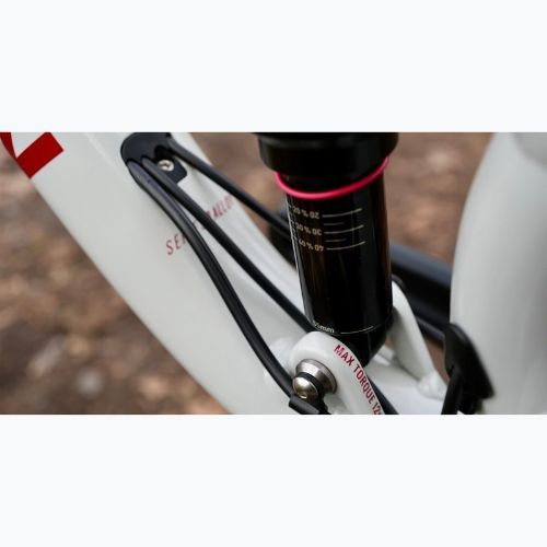 Kalnų dviratis Marin Rift Zone 2 29 gloss grey/red