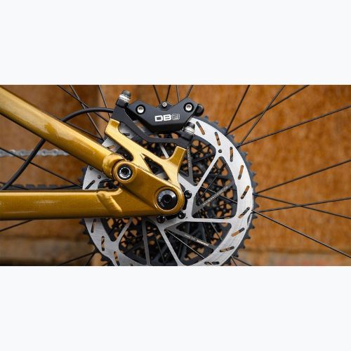 Kalnų dviratis Marin Rift Zone XR GX 29 gloss brown/light blue
