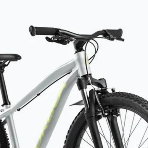 Vaikiškas dviratis Orbea MX 24 XC 2024 silver/spicy lime