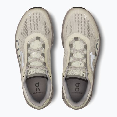 Vyriški bėgimo batai On Cloudmonster ice/alloy