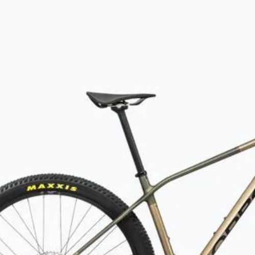 Kalnų dviratis Orbea Alma M50 2024 baobab brown/green gold