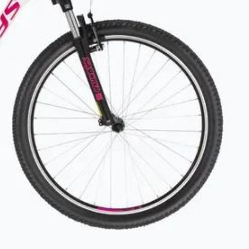 Moteriškas kalnų dviratis Kellys Vanity 10 29" white