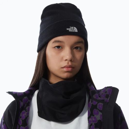 Vyriška treniruočių kepurė The North Face Norm Beanie black