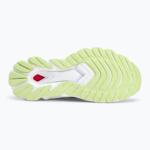 Moteriški bėgimo batai Mizuno Wave Skyrise 5 Roxy wild wind/black/rosebud