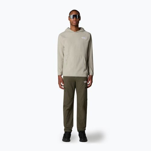 Vyriškas džemperis The North Face 100 Glacier Hoodie clay grey