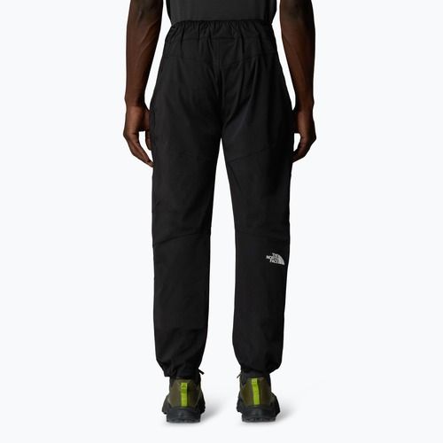 Vyriškos žygio kelnės The North Face Alpine Ridge Regular Tapered black/npf