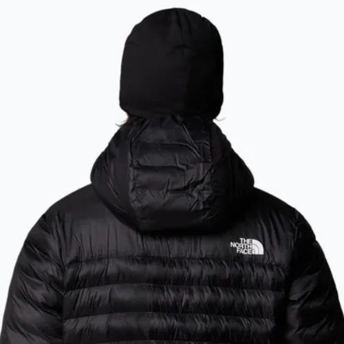 Vyriškos pūkinės striukės The North Face Terra Peak Hoodie black