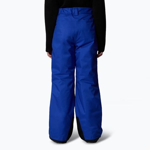 Vaikiškos slidinėjimo kelnės The North Face Freedom Insulated blue