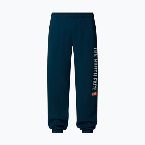 Vyriškos kelnės The North Face Varsity Graphic midnight petrol