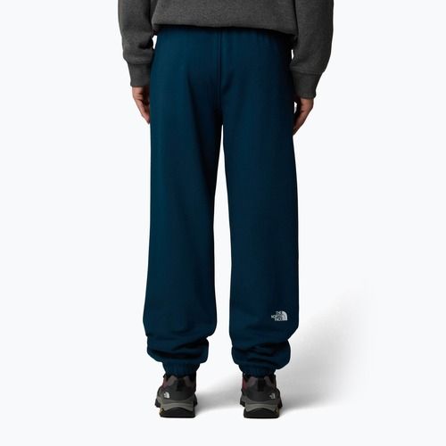 Vyriškos kelnės The North Face Varsity Graphic midnight petrol