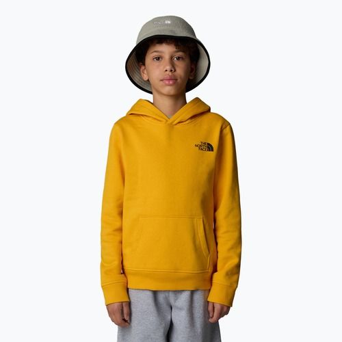 Vaikiškas džemperis The North Face Teen Redbox Regular P/O summit gold