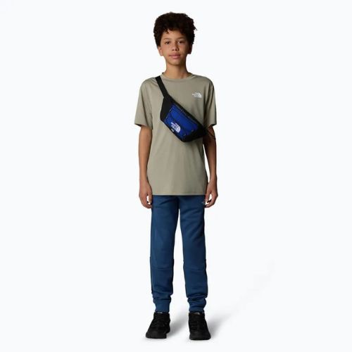Vaikiški marškinėliai The North Face Reaxion clay grey