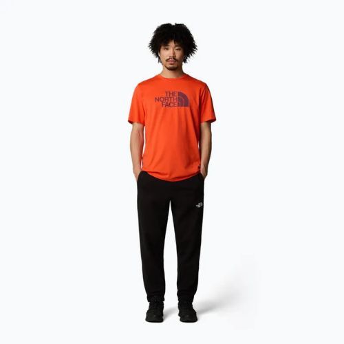 Vyriški marškinėliai The North Face Easy crimson orange/alpine plum