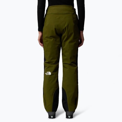 Moteriškos slidinėjimo kelnės The North Face Lenado Short forest olive/black