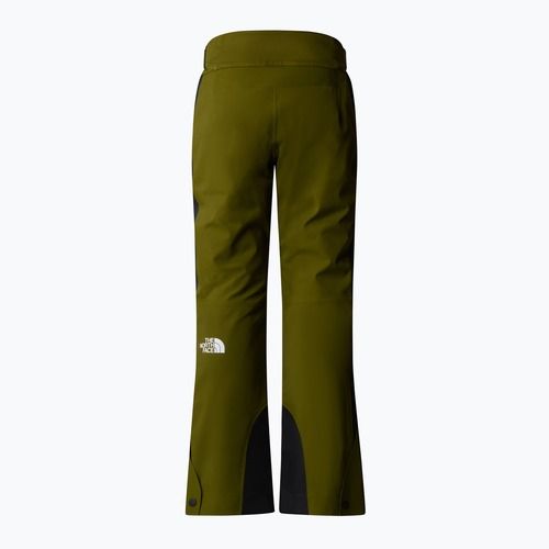 Moteriškos slidinėjimo kelnės The North Face Lenado Short forest olive/black