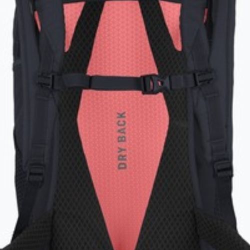 Žygio kuprinė Salewa Alp Trainer 35+3 l java blue