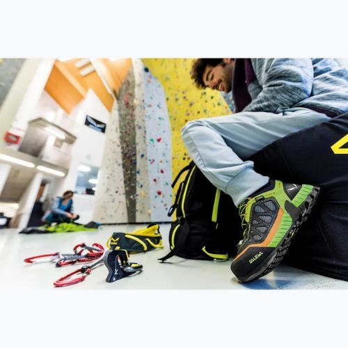 Saugos įrenginys Salewa Ergo Belay System night