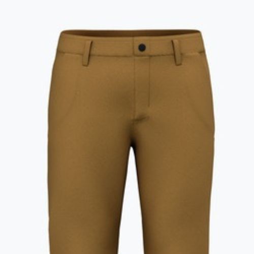 Vyriškos termoaktyvios kelnės Salewa Fanes Hemp golden brown