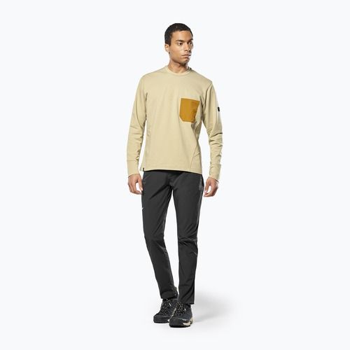Vyriškas džemperis Salewa Fanes Dry Pullover quicksand