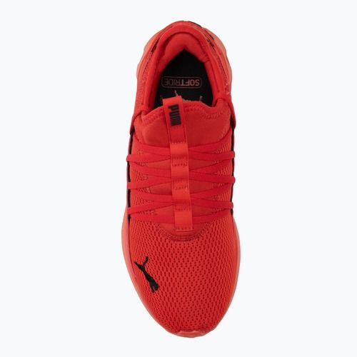Bėgimo batai PUMA Softride Carson Fresh for all time red/puma black