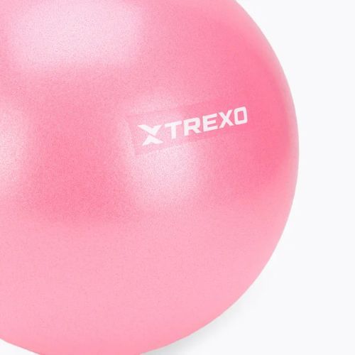 Mini gimnastikos kamuolys TREXO TXO-B4Z010-PK 20 cm rožinis