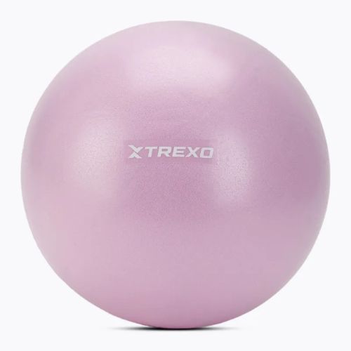 Mini gimnastikos kamuolys XTREXO TXO-B4Z011-VT 25 cm violetinis